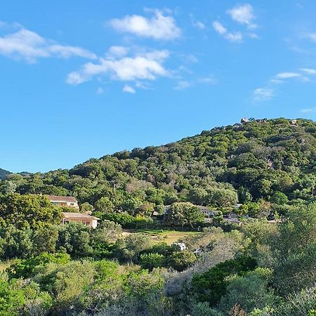 Bel Appartement Dans Hameau Calme Bonifacio  Exterior foto